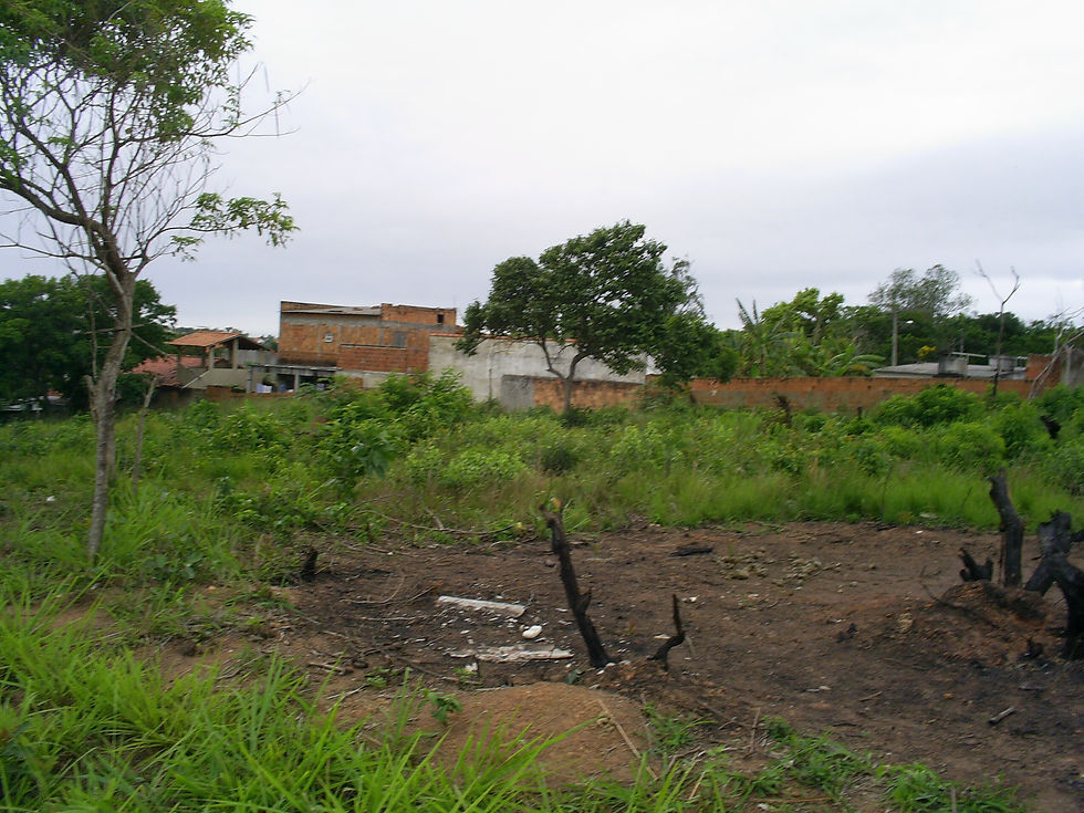 S5022254.JPG
