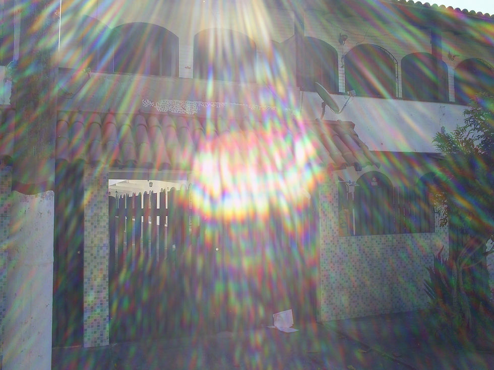 S5022892.JPG