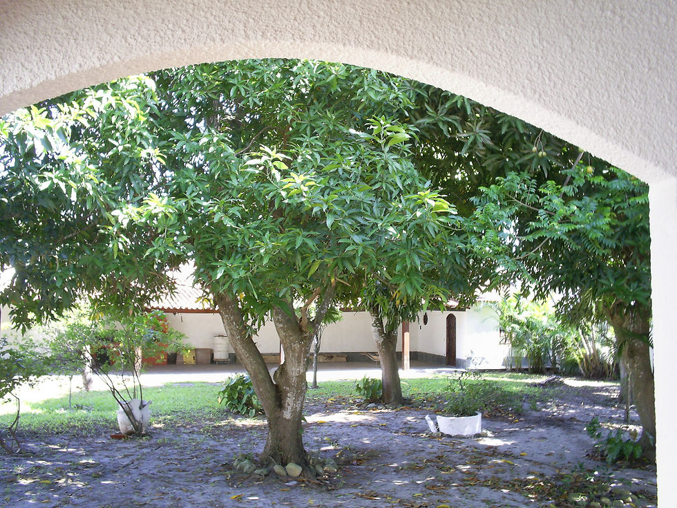 S5023020.JPG