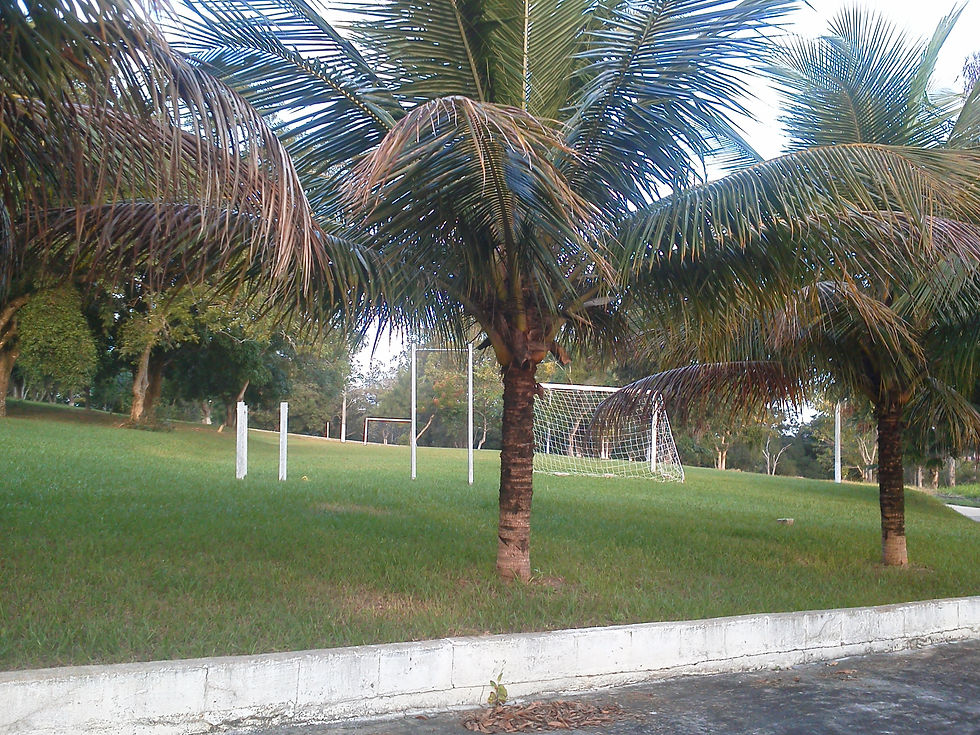 IMG_20130607_163057.jpg