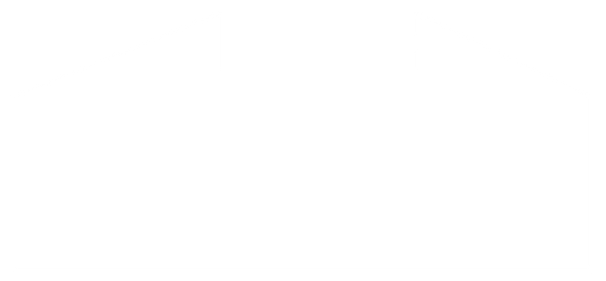 LINEAS BLANCAS 2-01.png
