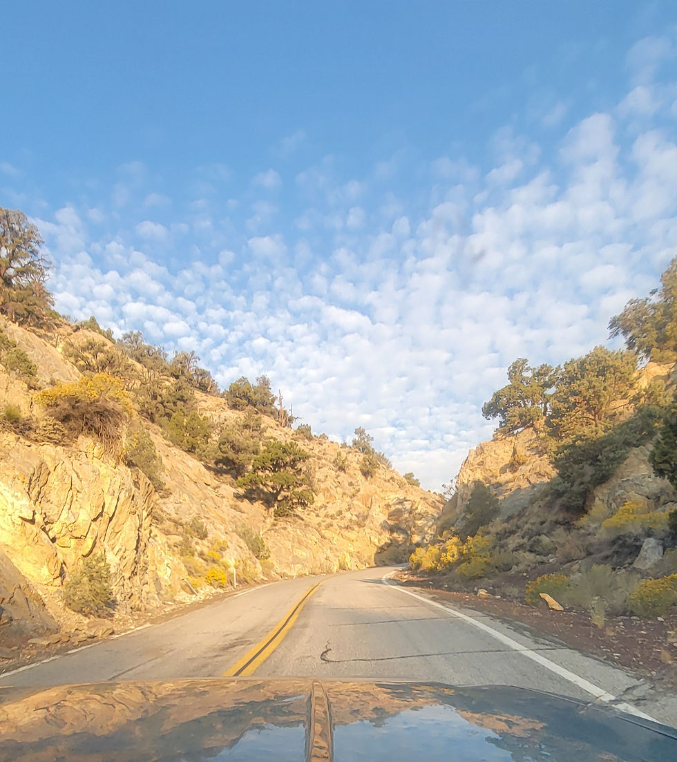 On the narrow road to see the Ancient Bristlecone Pine forest, I took this photo from inside the truck, not realizing the hood acted like a mirror reflecting the sky, the rocks, and trees.