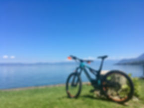 IMG_0290.JPEG