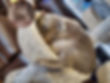 Barry - Web 1.jpg