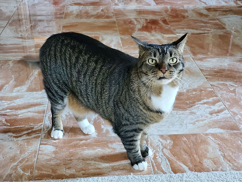 20191126_115040.jpg