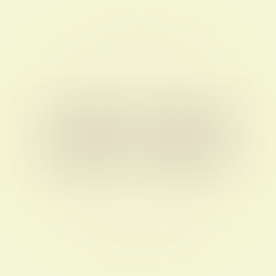 SATURDAY - Trackwalker + Best Bet