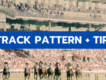 Trackwalker Info + $41 Longshot | Moe Oct 19