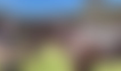 Horse Update | OBSIDIAN DREAM