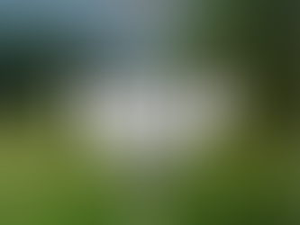 US MASTERS 2024 OPEN PREVIEW