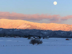 Welcome Winter by Jenelle Carberry