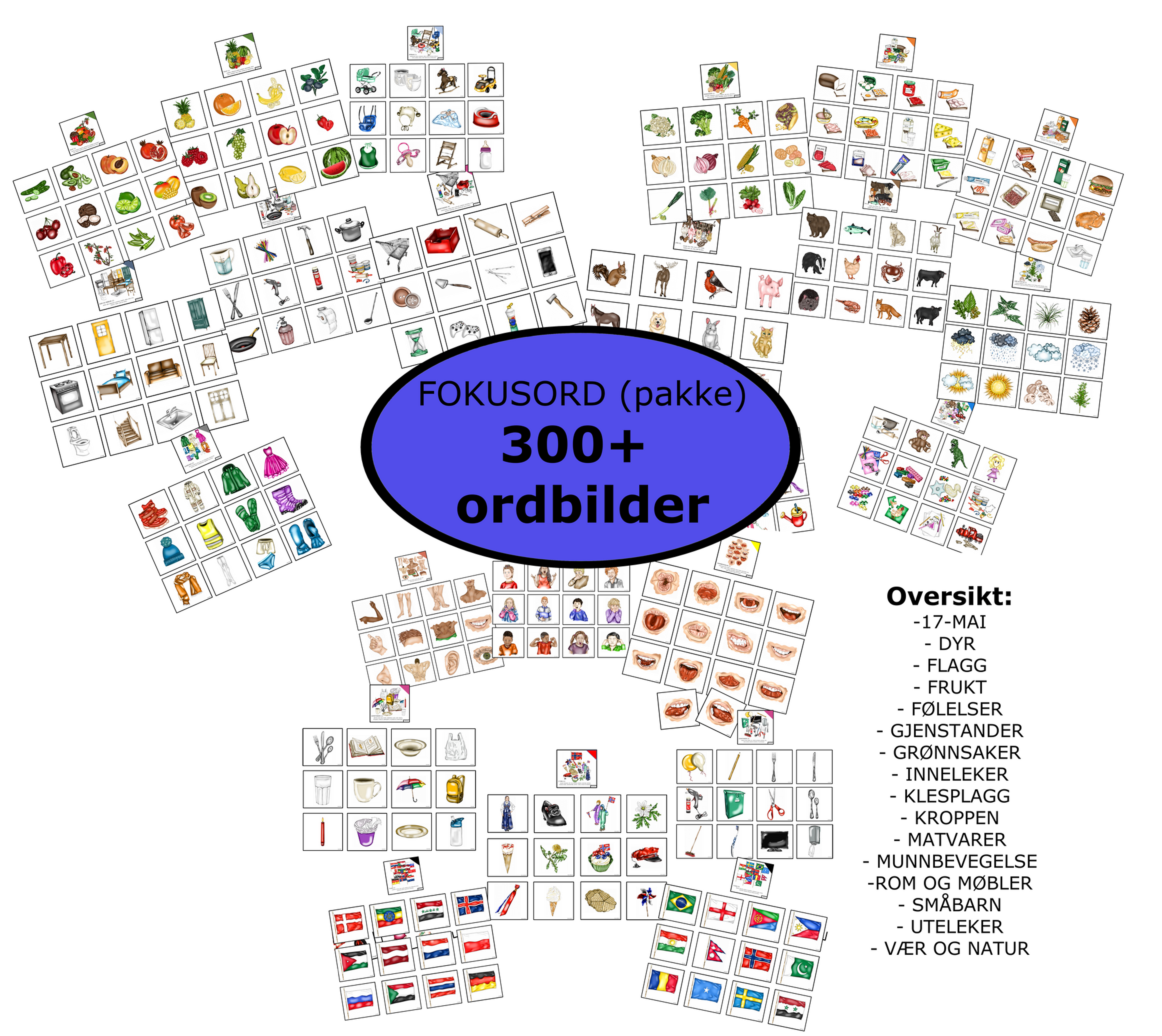 Fokusord full pakke