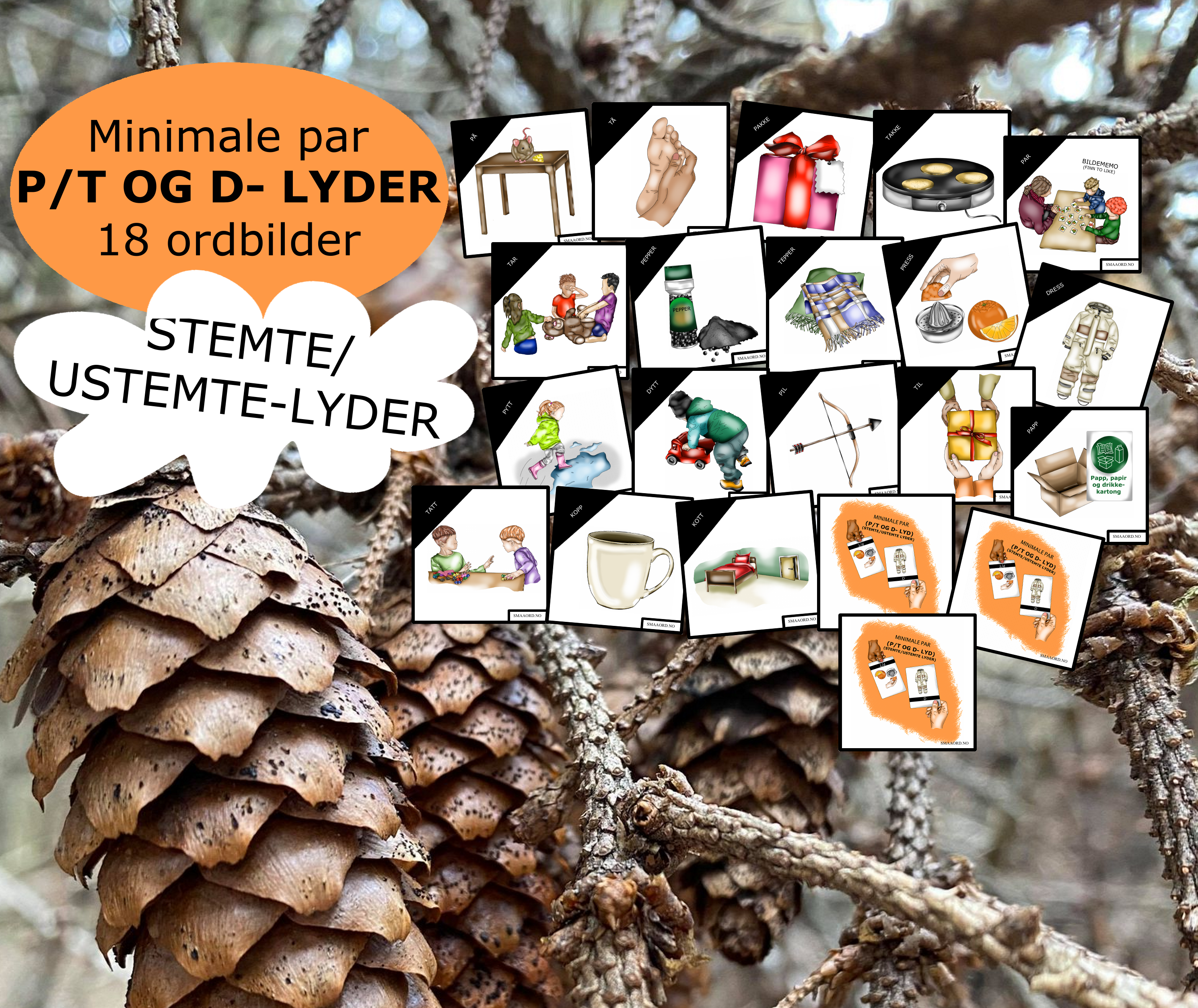P/T og D-lyder STEMTE/USTEMTE (minimale par)