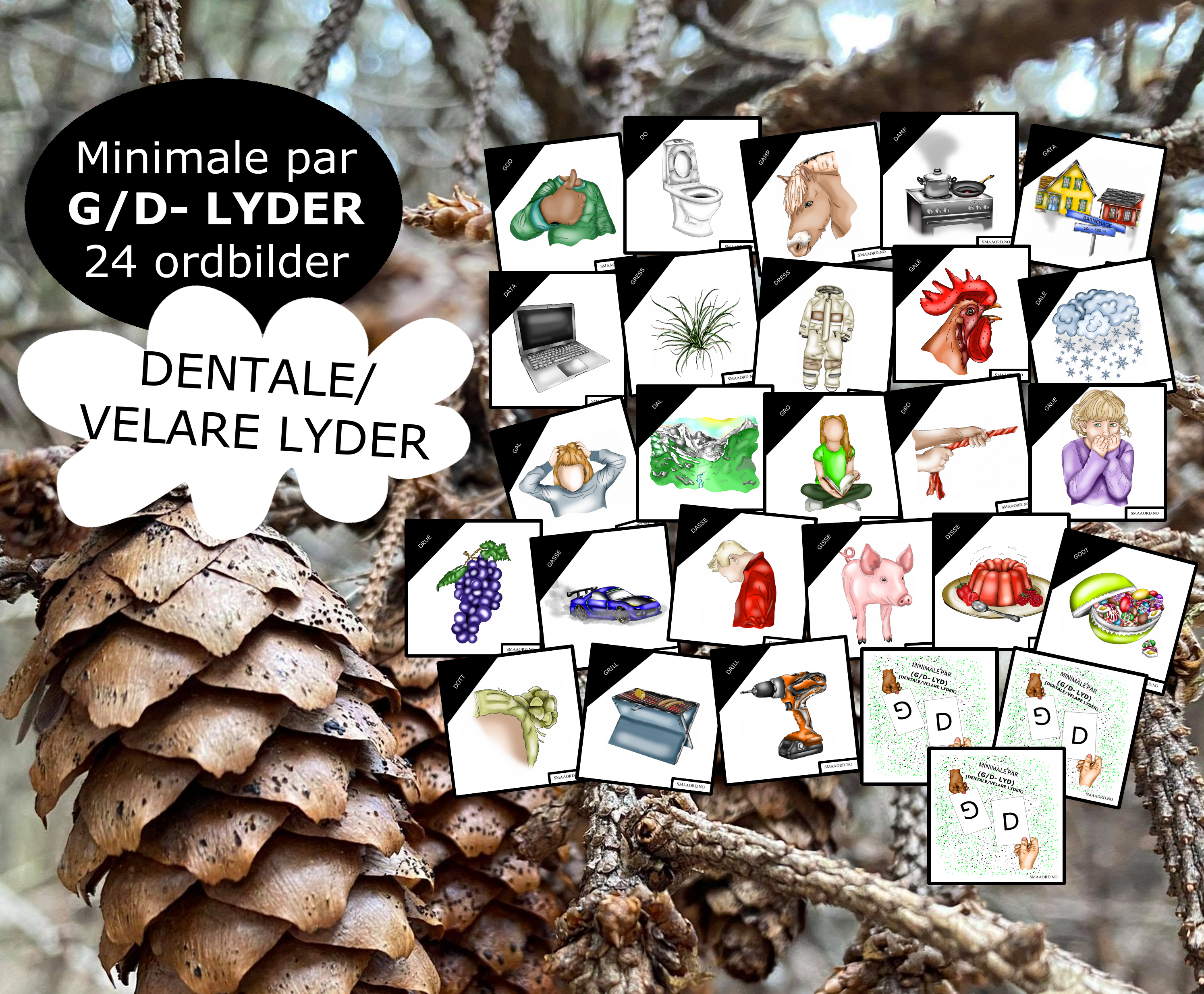 G/D-lyder DENTALE/VELARE (minimale par)