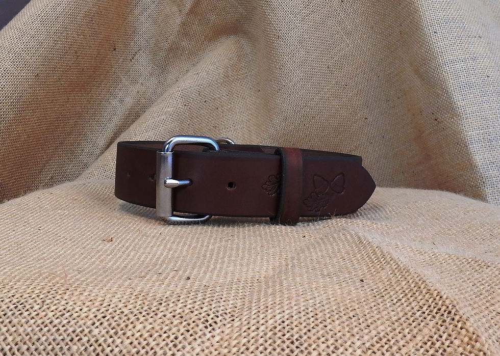 Miniatura: Kožený obojek, hnědý, zdobený, šířka 3,8 cm
