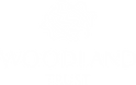 WTLogoReversed.png