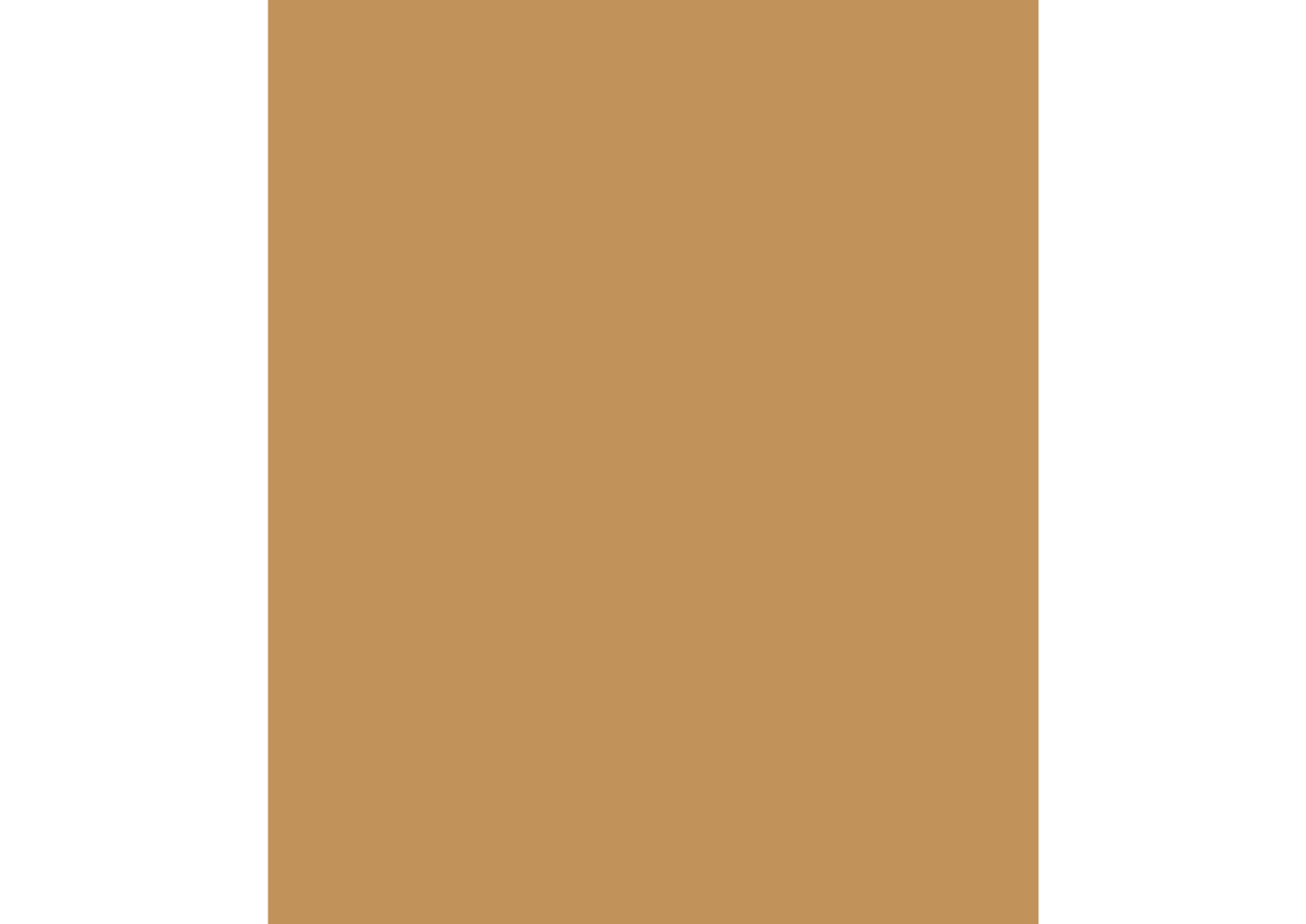 House (2)_edited.png