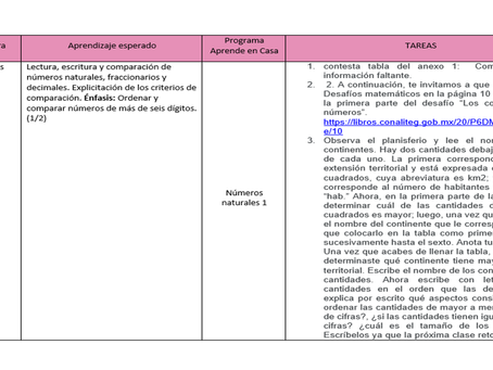TAREAS 15 DE SEPTIEMBRE 2020