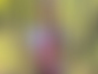 Our Cameron is gonna Eagle!! And she needs your help…