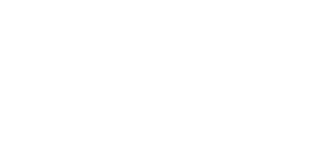 RVTS Logo