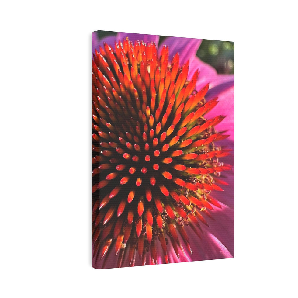 Thumbnail: Purple Coneflower (5" x 7" Mini Canvas)