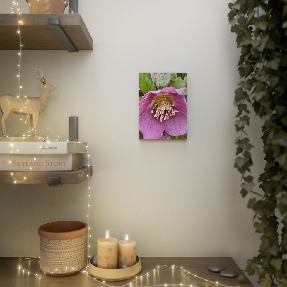 Thumbnail: Lenen Rose (5" x 7" Mini Canvas)