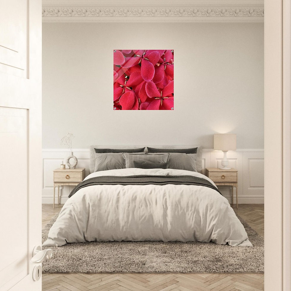 Thumbnail: Bahama Red (Large 24" x 24" Acrylic Print)