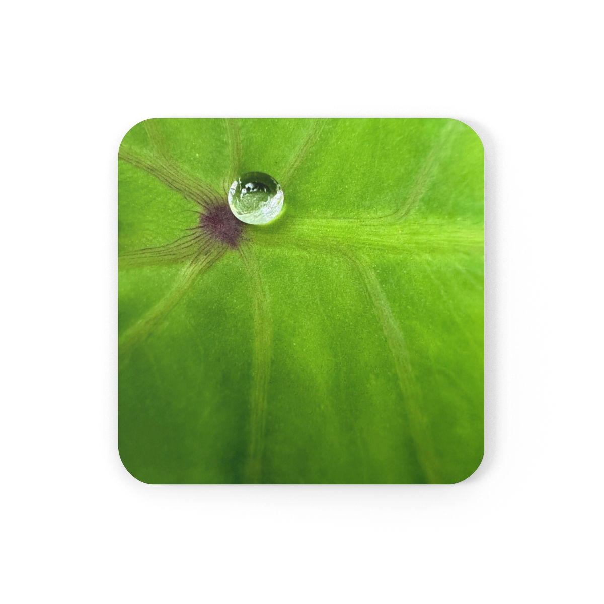 Droplet on Palm (Coaster)