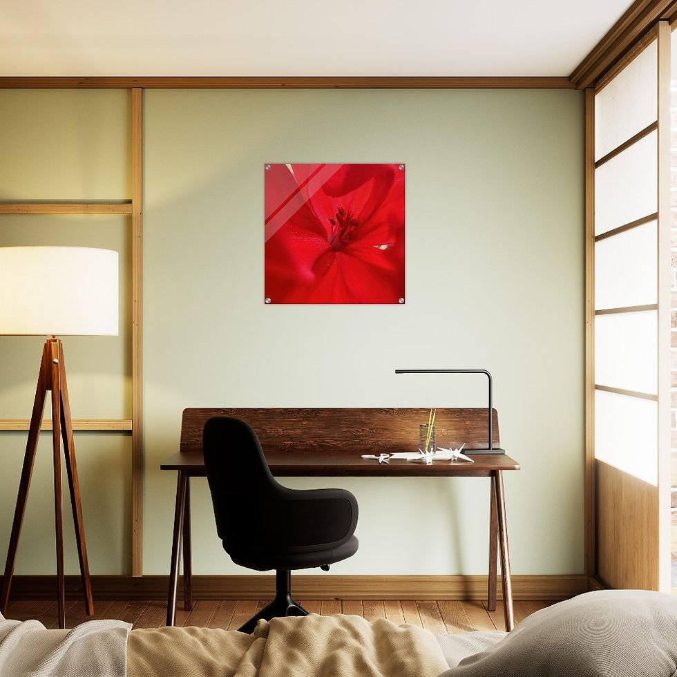 Thumbnail: Red Dress (Large 24" x 24" Acrylic Print)