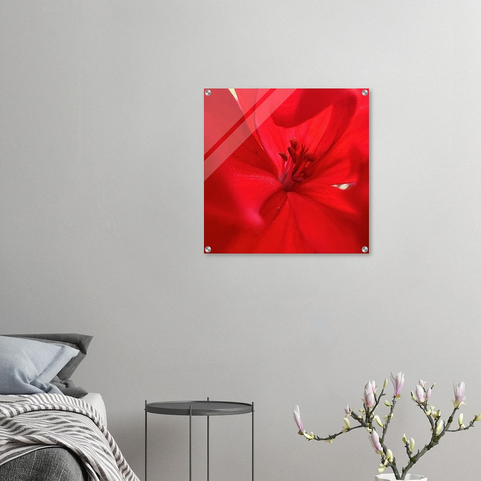 Thumbnail: Red Dress (Large 24" x 24" Acrylic Print)