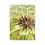 Thumbnail: Dandelion (5" x 7" Mini Canvas)