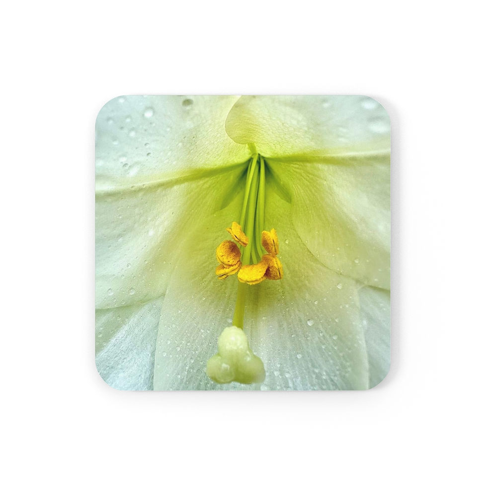 Lily And Rain Drops (Coaster)