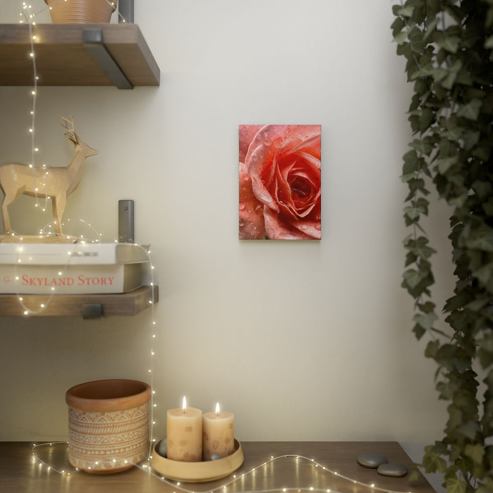 Thumbnail: Pink Beads on Rose (5" x 7" Mini Canvas)
