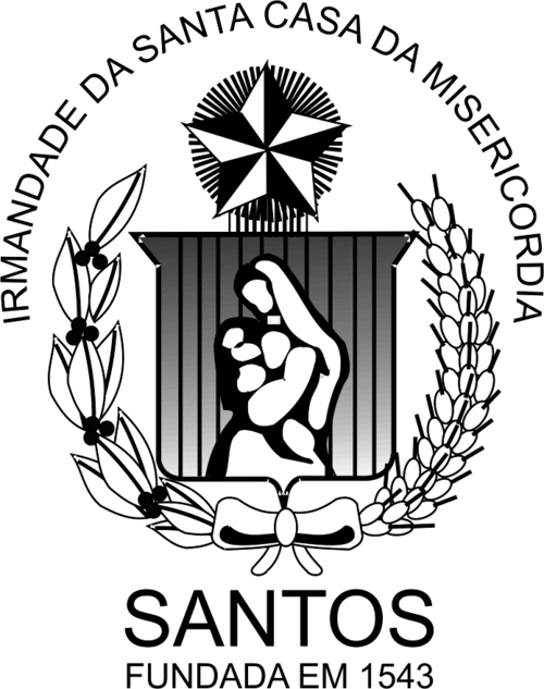 Santa Casa de Santos.gif