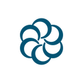 CLV Logo