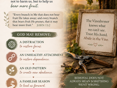 Not Everything God Removes Is a Loss