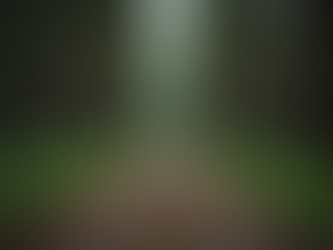 Exploring the Path to Spiritual Renewal