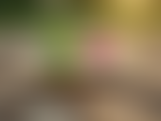 Finding Hope in Beauty for Ashes Devotionals