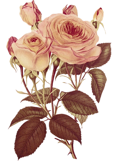 005 (4).png