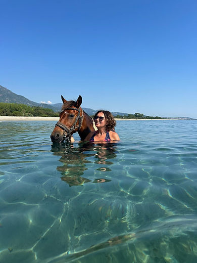 moi cheval corse.jpg