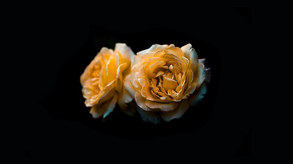 alexandru-acea-5O0nPYaXoi0-unsplash (1)_edited_edited.jpg