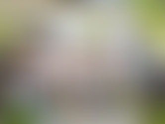 Concordia's International Networks