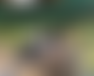 Rock Farm Youth Volunteering 2025