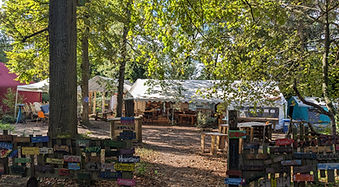 Building an ecological village