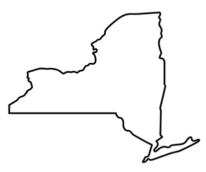 New York Vector Image
