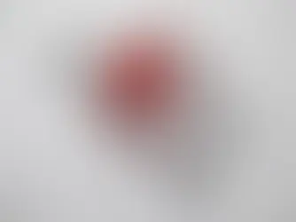 Meet French Lace Artist Véronique Porot