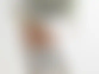 Japanese Bobbin Lace Artist Ono Wako