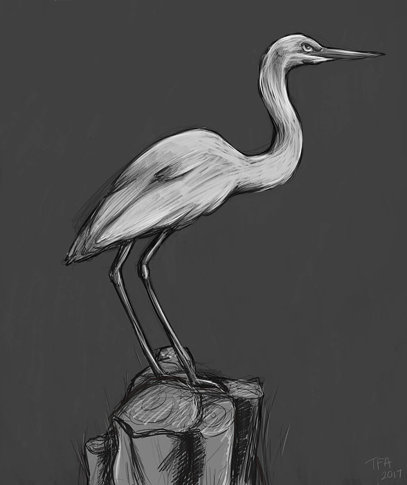 seaquarium-bird1.jpg