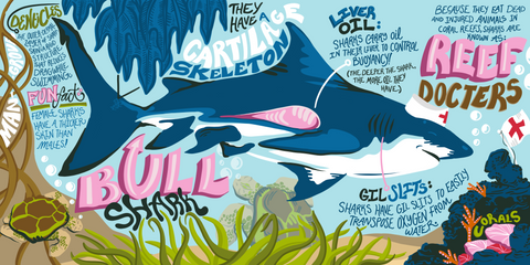 Prinstpiration 3: Costa Rica Concept Book