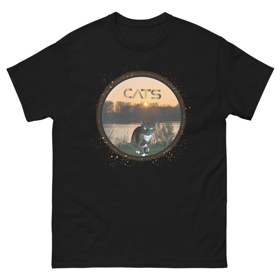 Miniaturbild: A T-shirt for cat lovers. 