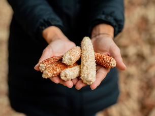 CORNWALL, LA RIVOLUZIONE DEI RIVESTIMENTI BIO.